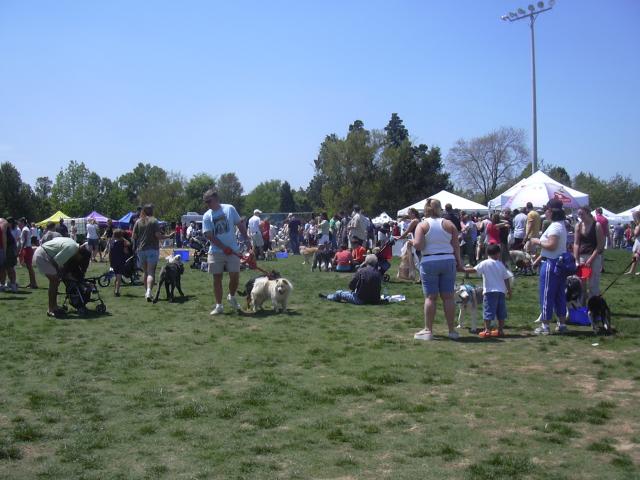 /images/events/1/BARK IN THE PARK 2007 017.jpg